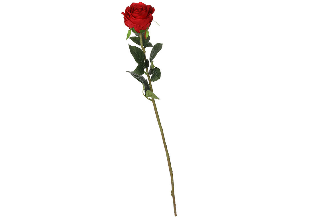 Троянда на стеблі червона