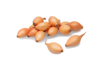 Цибуля-сіянка "Стурон" (Sturon) TOP ONION