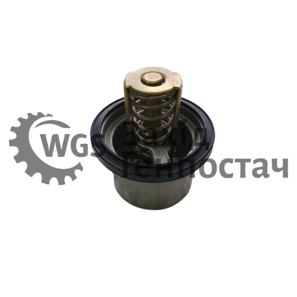 Термостат RE570839 [John Deere]