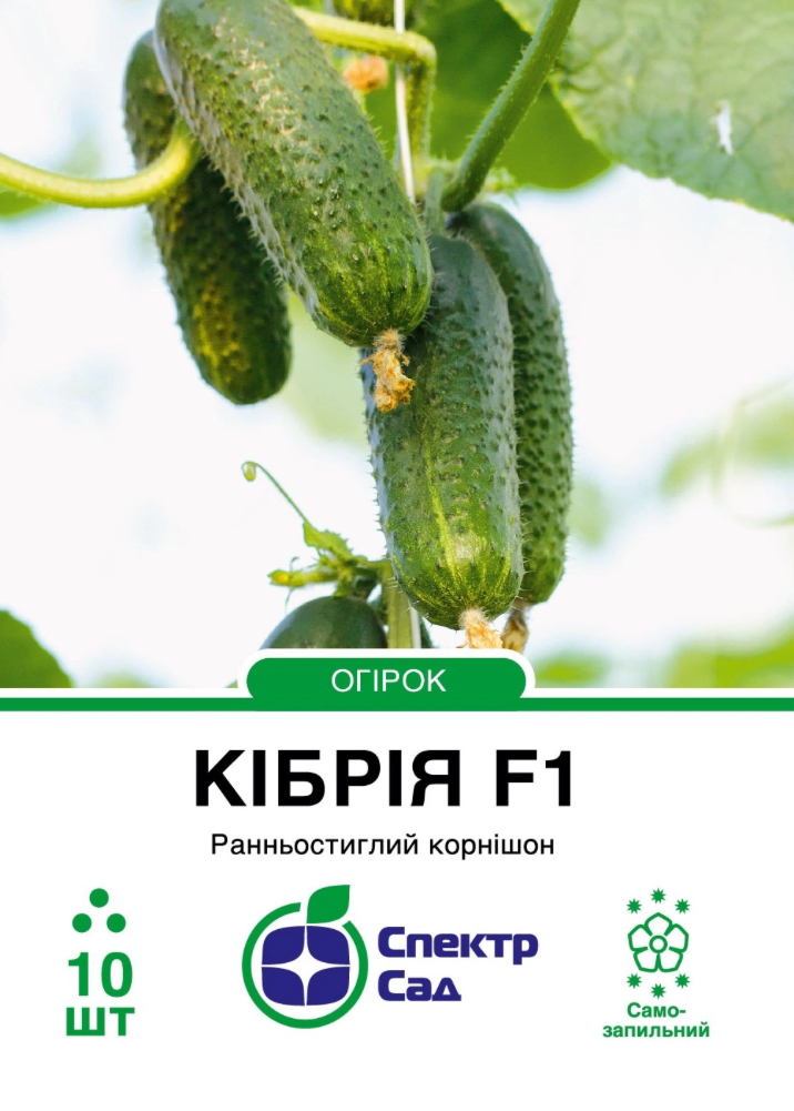 Огірок Кібрія F1, 10 шт