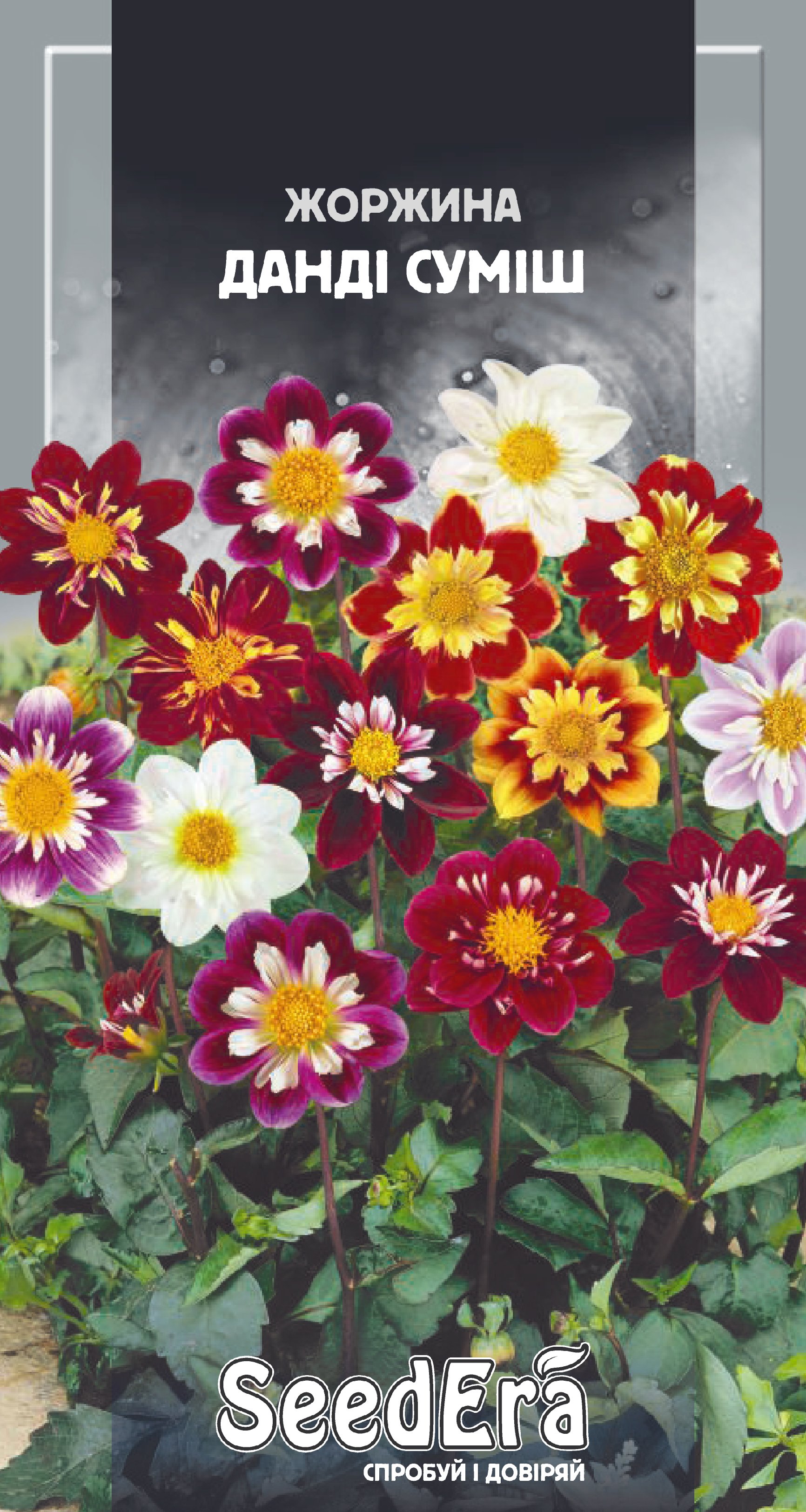 Насіння Квіти Жоржина Данді суміш, 0,5 г