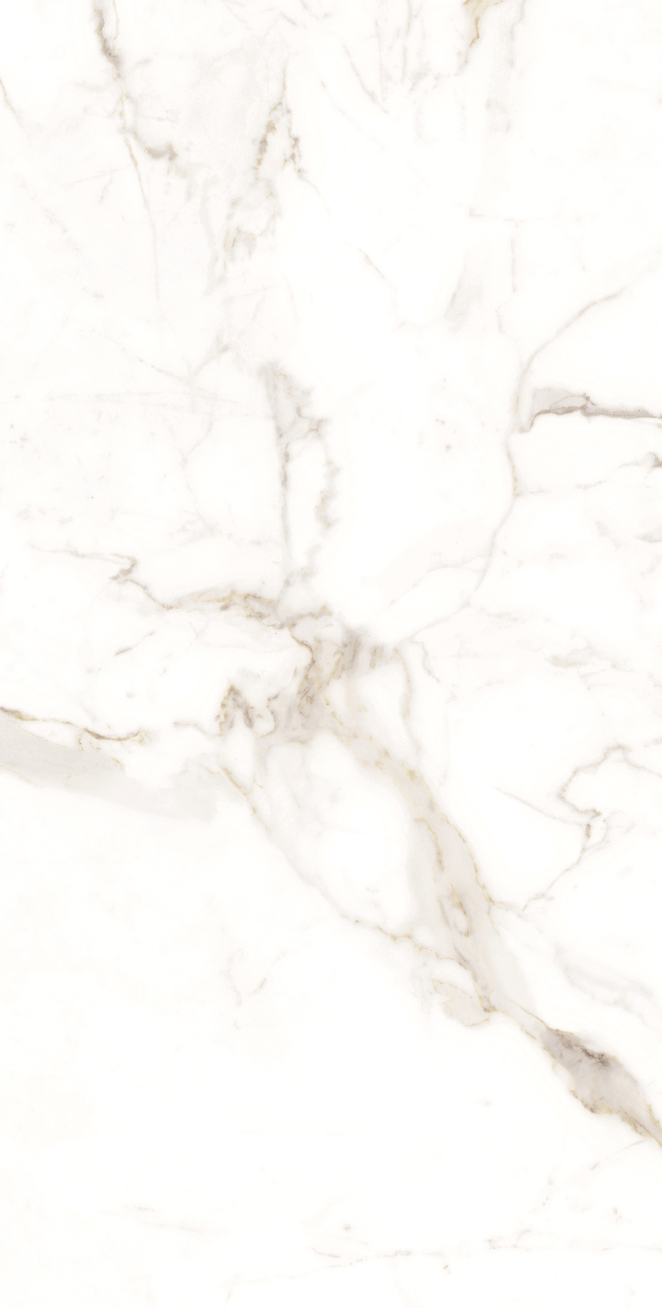 Alcora Gold Satin (600x1200x8 мм)