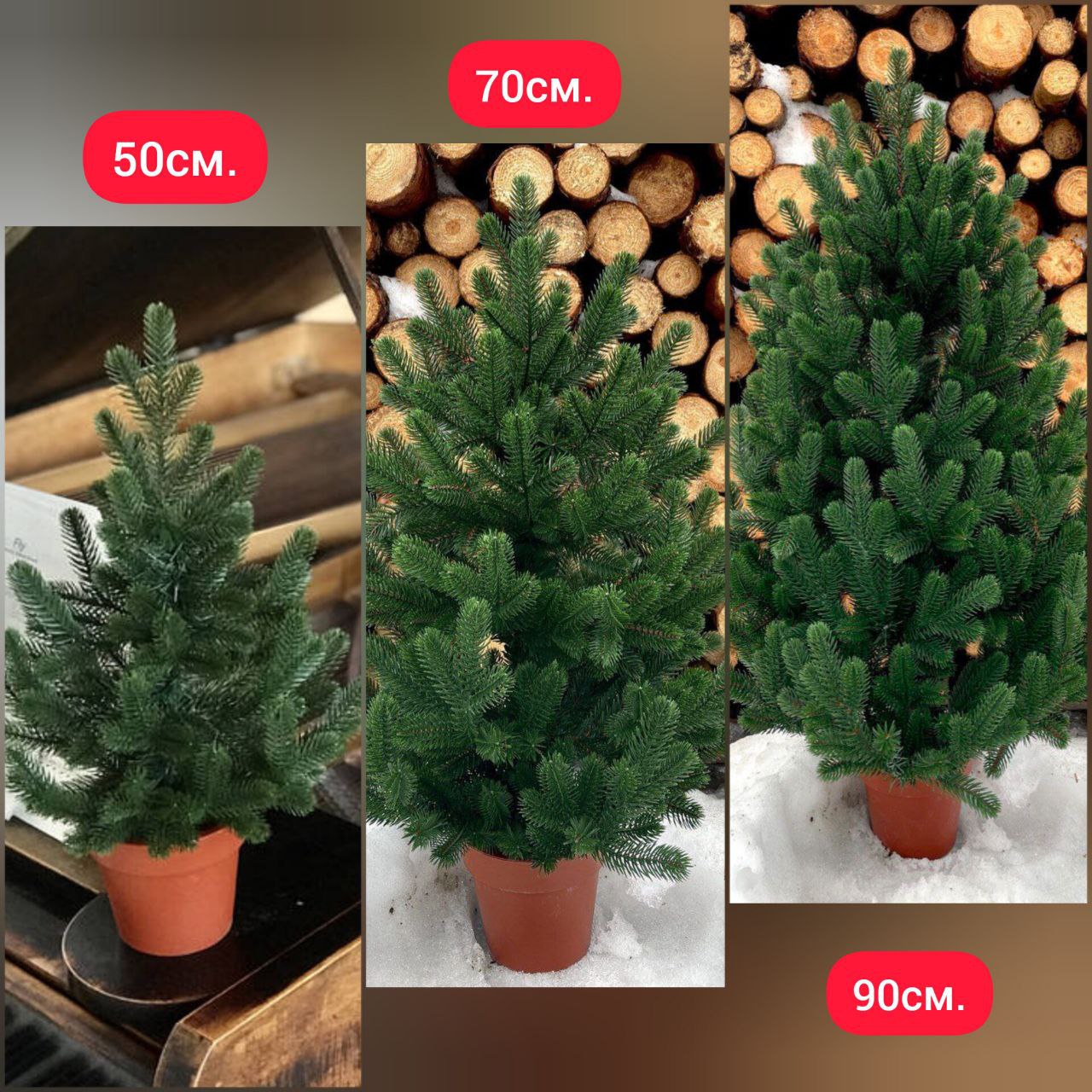 Ялинка Traditional NEW лита в горщику зелена 50см, 70см, 90см