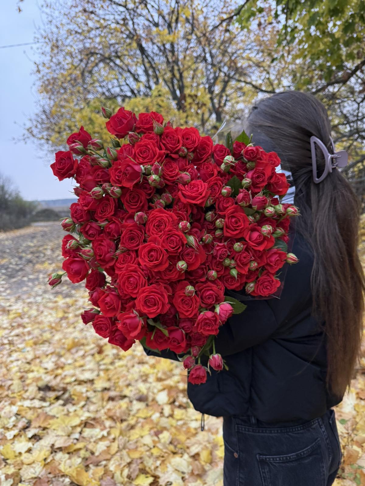 Гілкова троянда "Ред Ванесса"