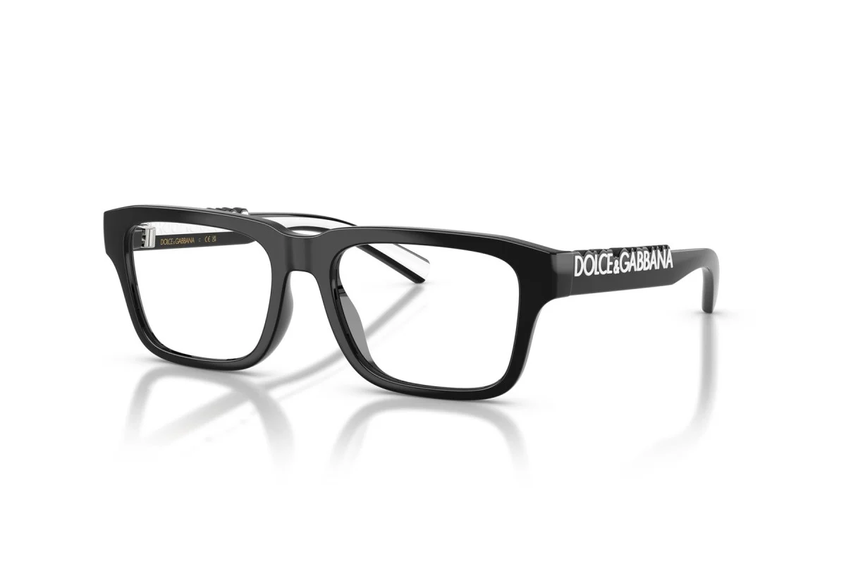 DOLCE & GABBANA DX 5008 501