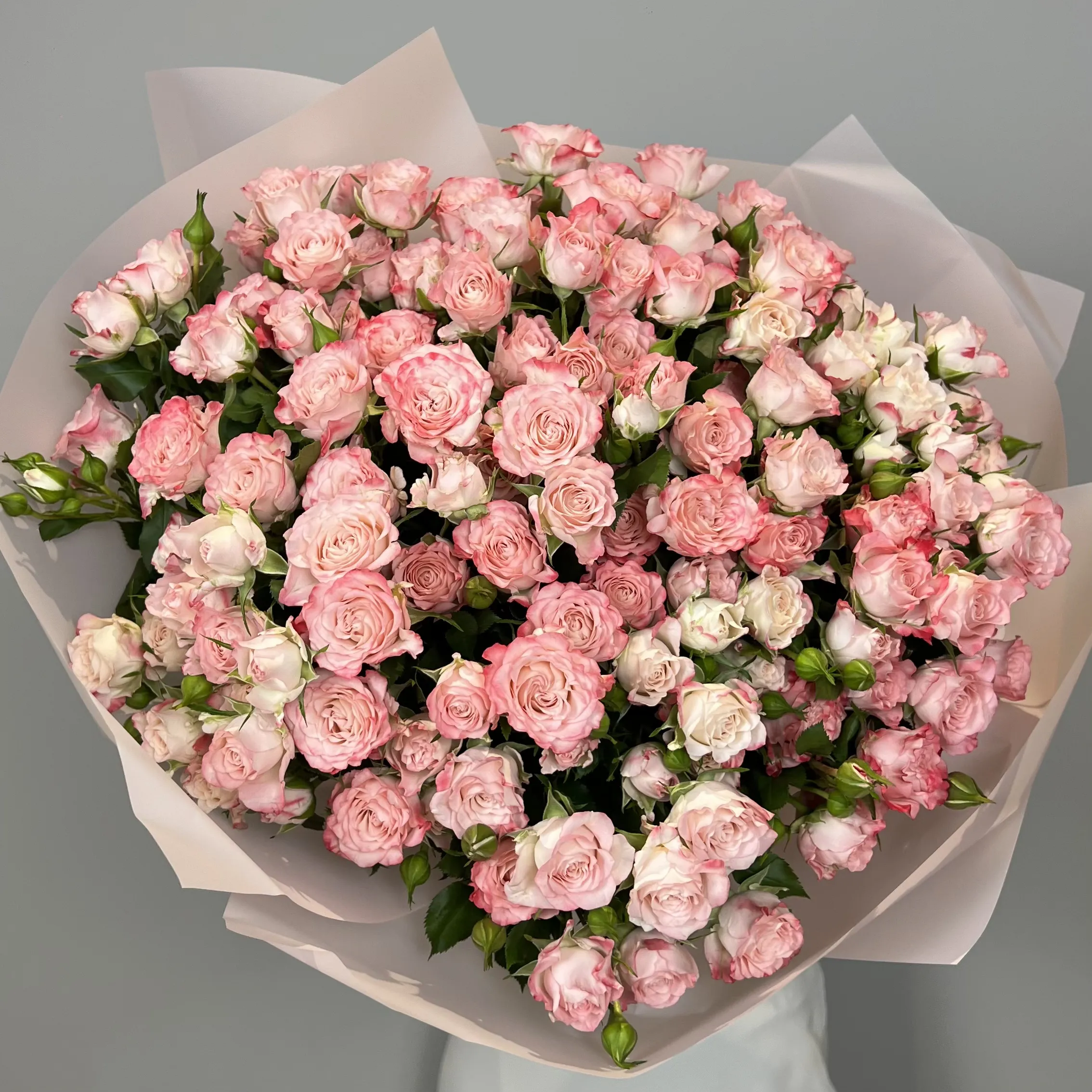 Speaking Blossoms Garden Roses