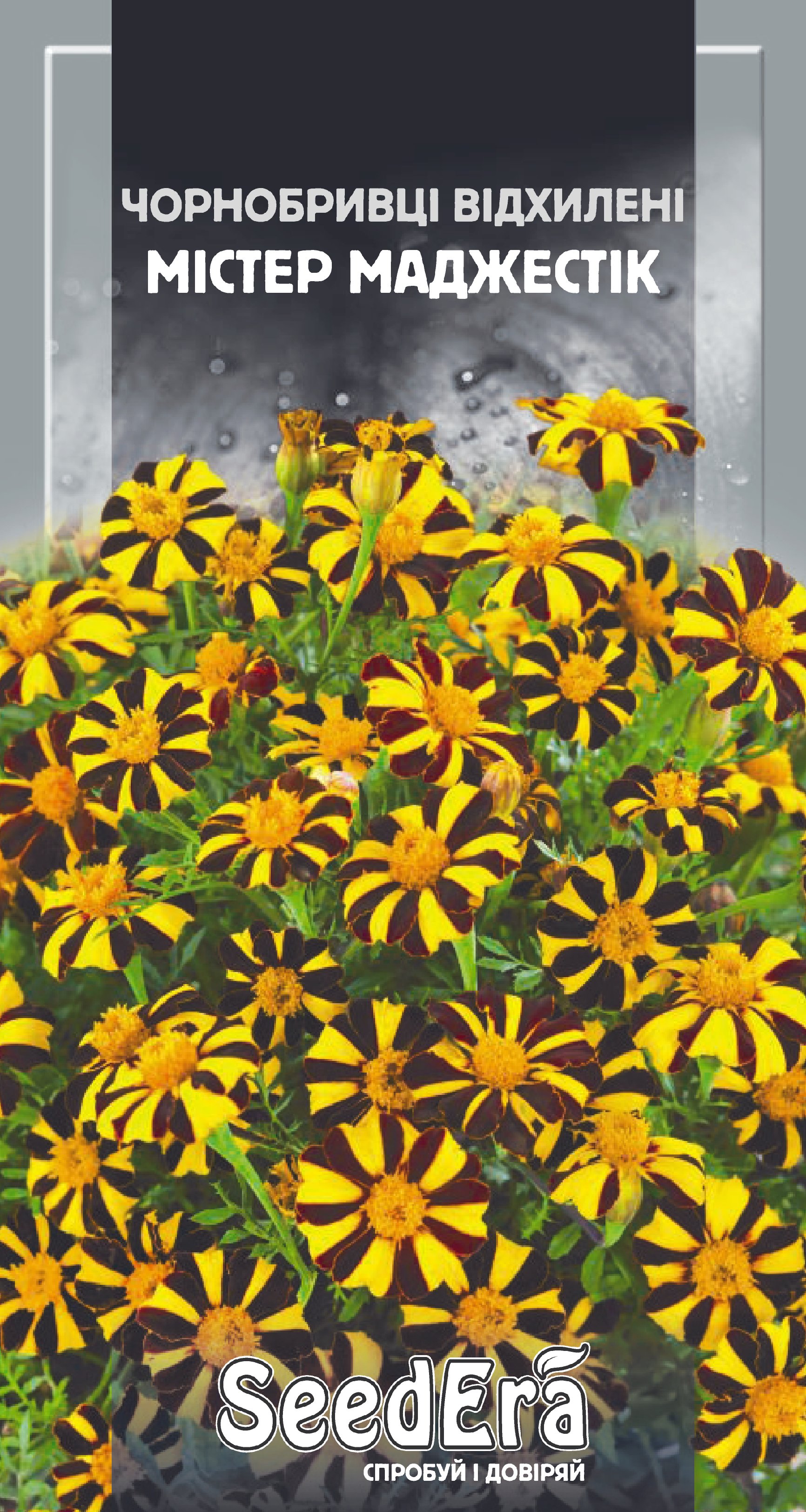 Насіння Квіти Чорнобривці низькоросла відхил. Містер Маджестік, 0,5 г