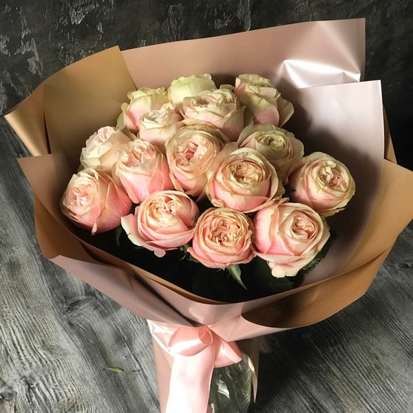 Сван Грейс — Swan Grace