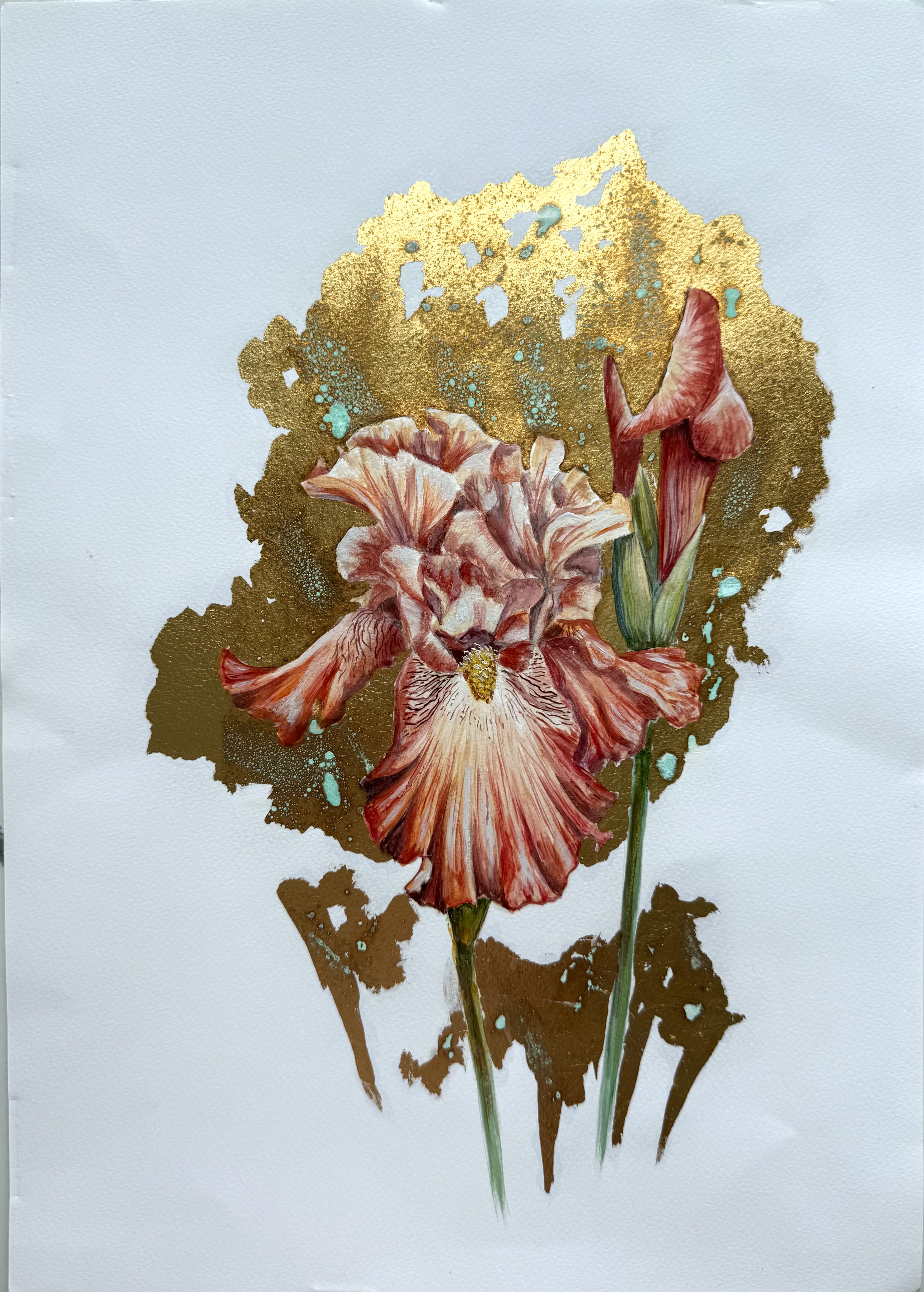 Iris III