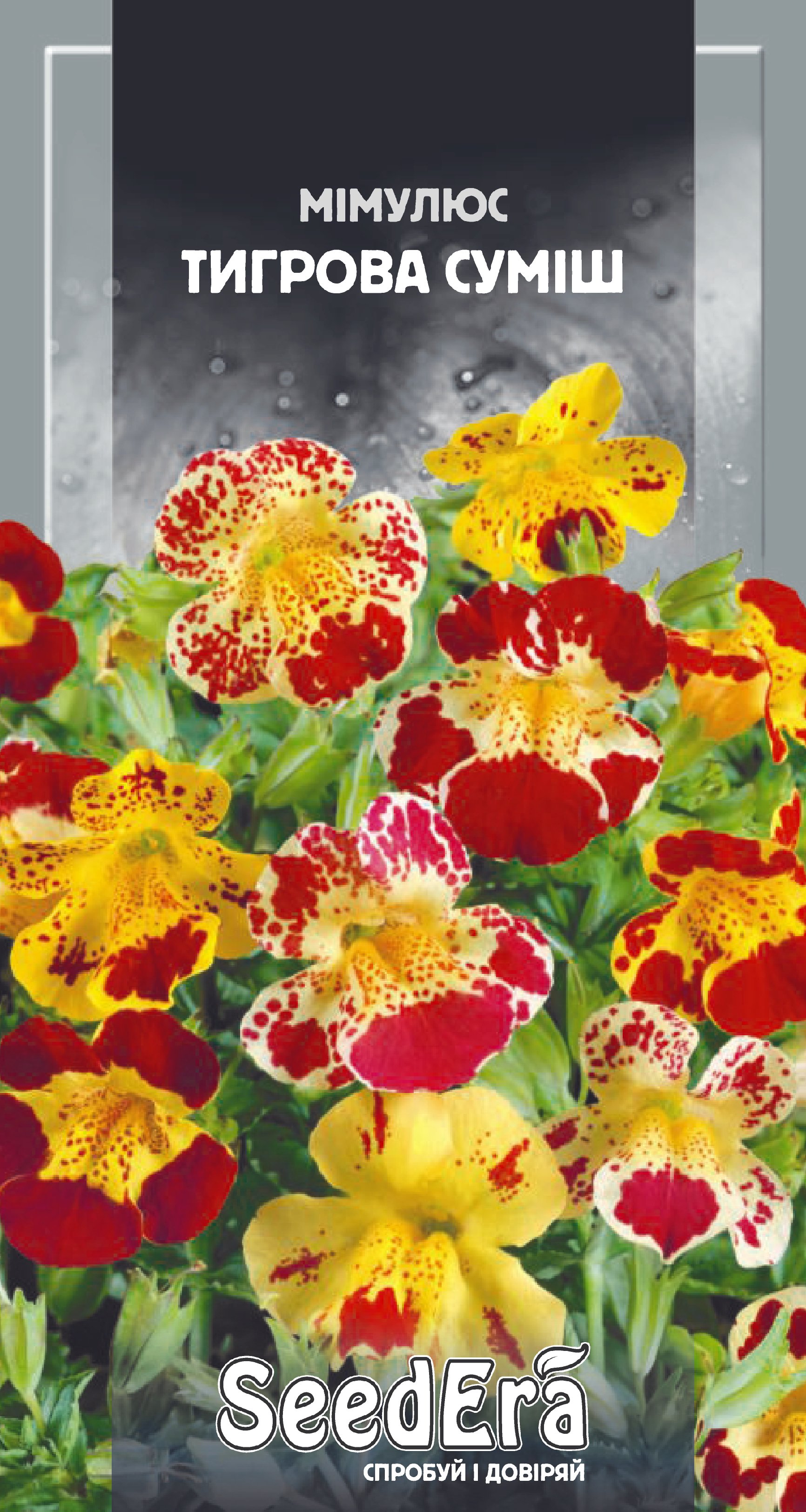 Насіння Квіти Мімулюс Тигрова суміш, 0,1 г