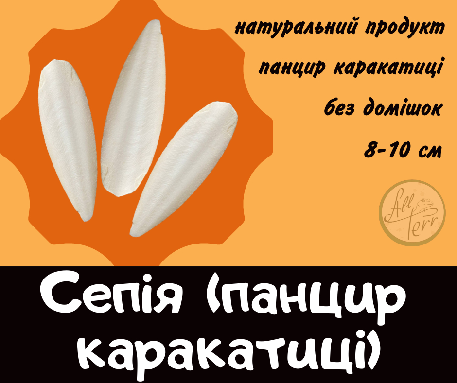 Сепія (панцир каракатиці) 8-10 см та 12-13 см