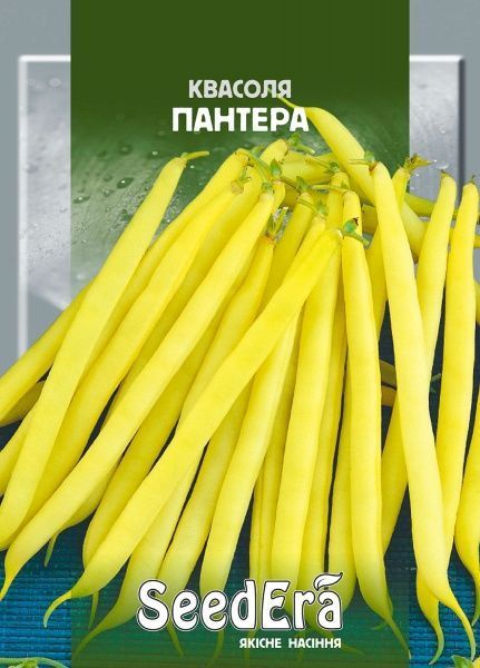 Квасоля спаржева кущова Пантера  SEEDERA 20г