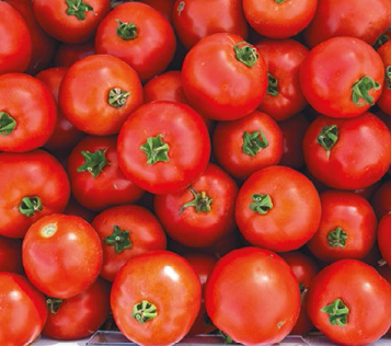 Ультраранній гібрид помідор Мамако 20 насінин