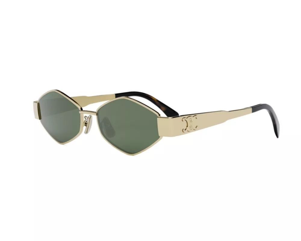 CELINE CL40254U 30N