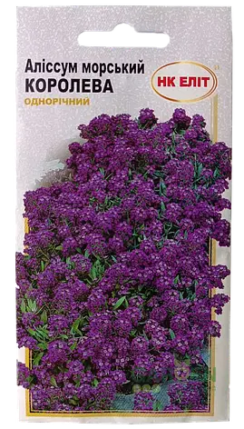 Квіти Аліссум Морський Королева 0.2 г НК Еліт