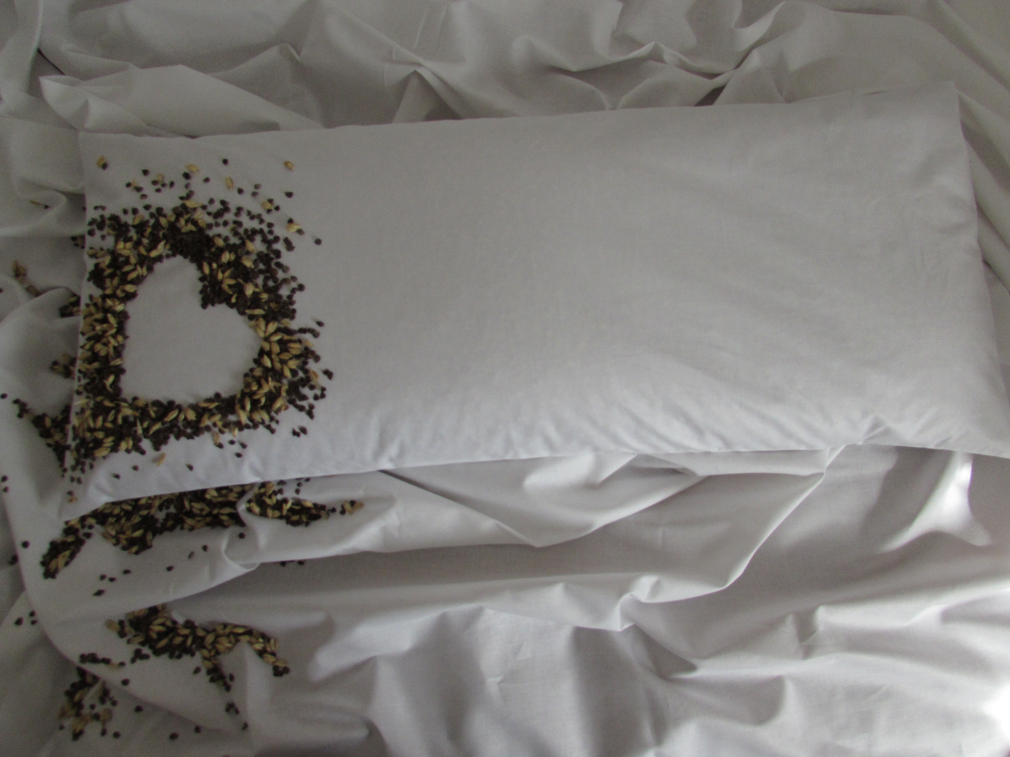 Pohánkovo špaldový vankúš 35x80cm