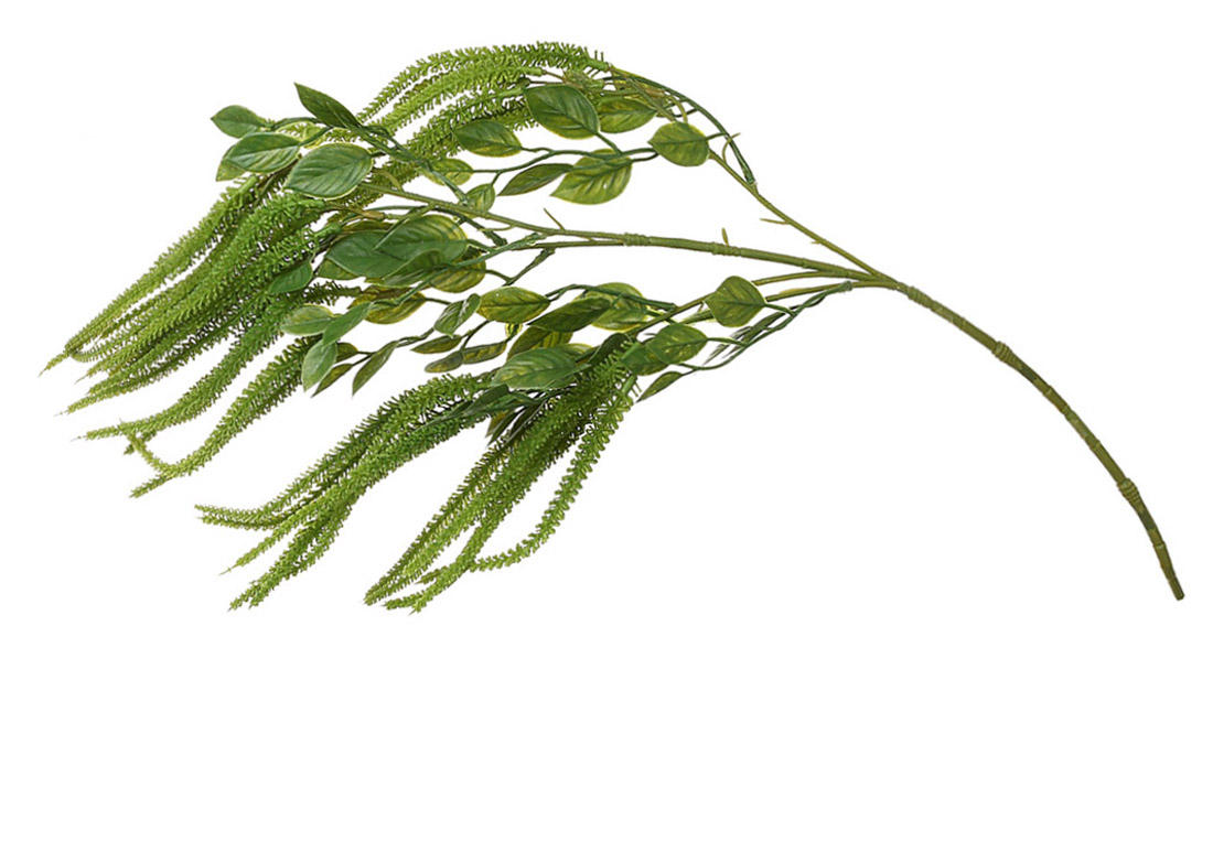 Гілка Амаранта