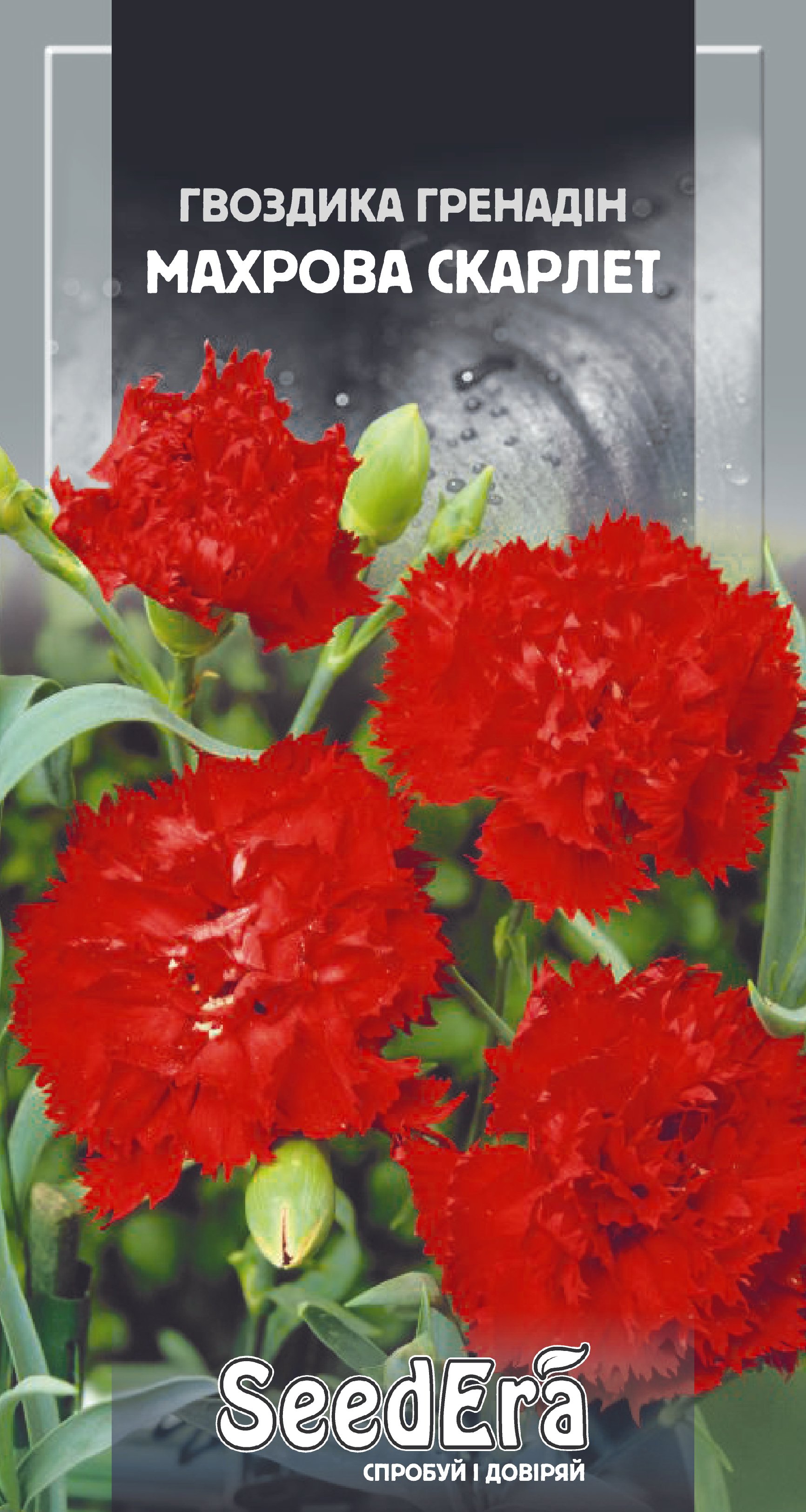 Насіння Квіти Гвоздика Гренадін махрова Скарлет, 0,2 г