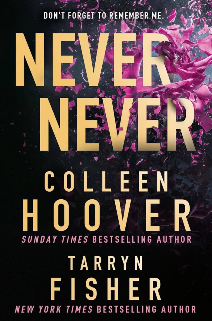 Never Never Colleen Hoover, Tarryn Fisher