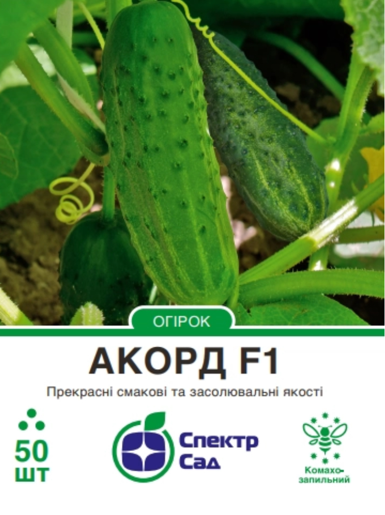 Огірок Акорд F1, 50 шт