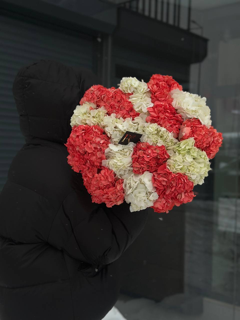 17 гортензій