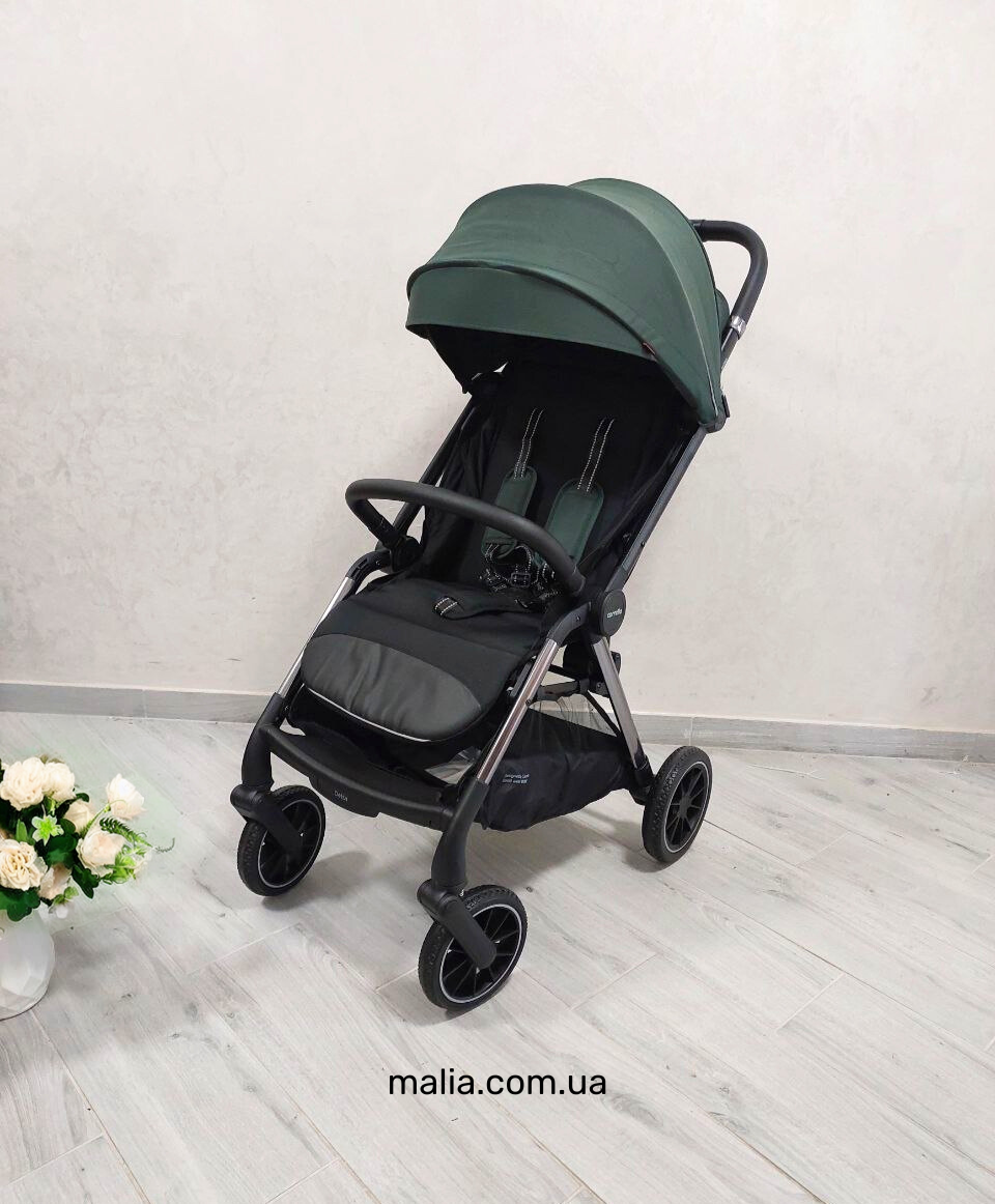 Прогулянкова коляска Carrello Delta CRL-5517 Jungle Green