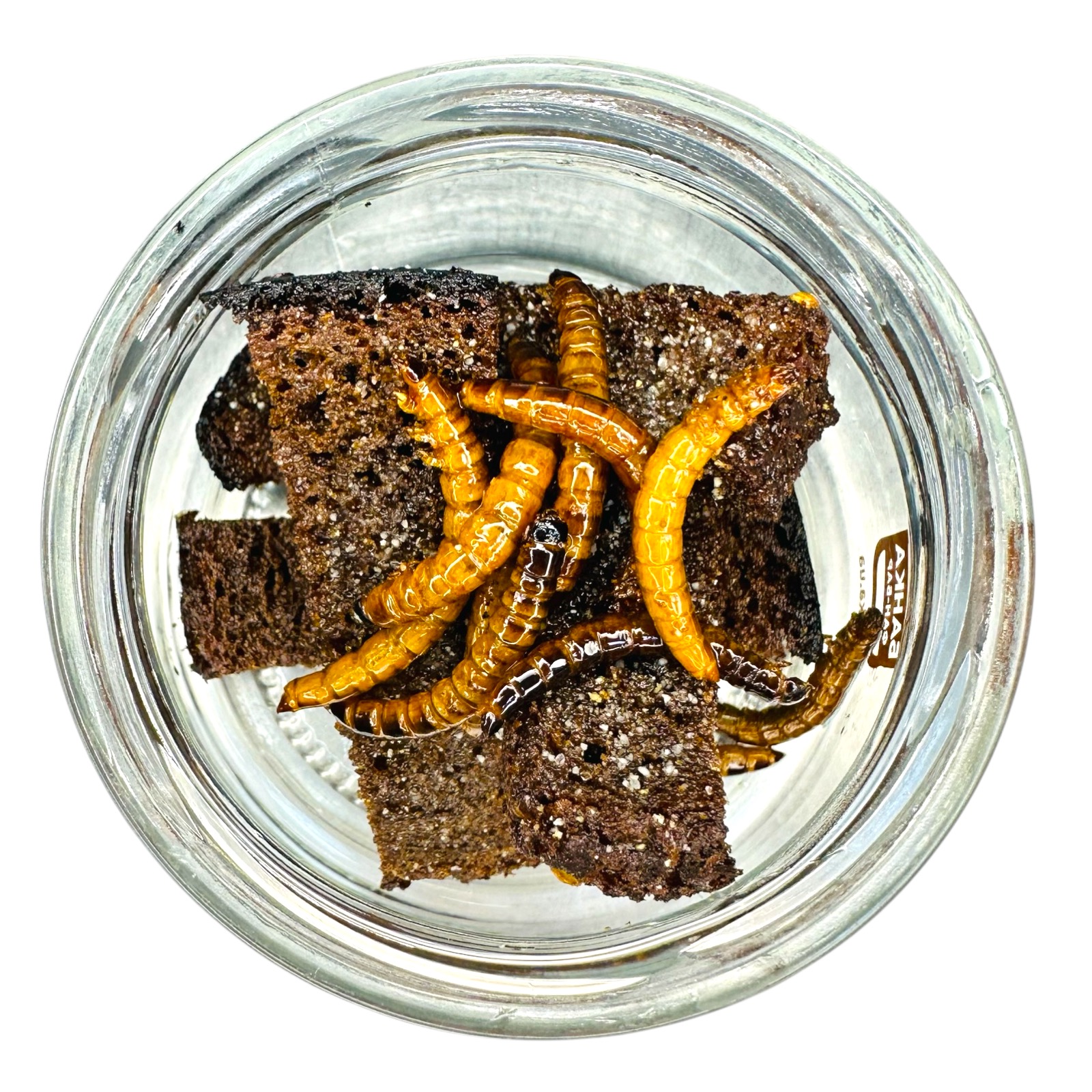 Хрумкі хробачки