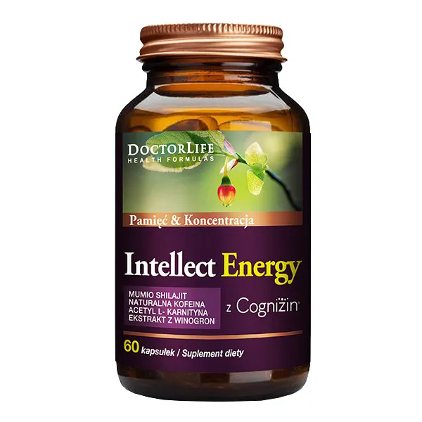 Doctor Life Intellect Energy Максимальна підтримка мозку - 60 капсул
