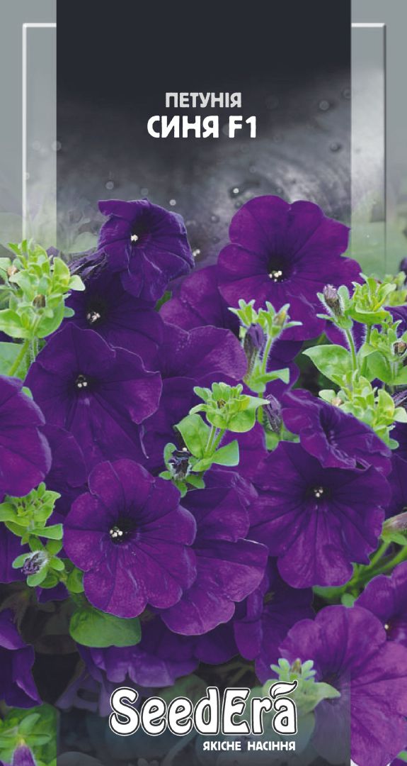 Насіння Квіти Петунія великоквіткова низькоросла Синя F1, 10 шт