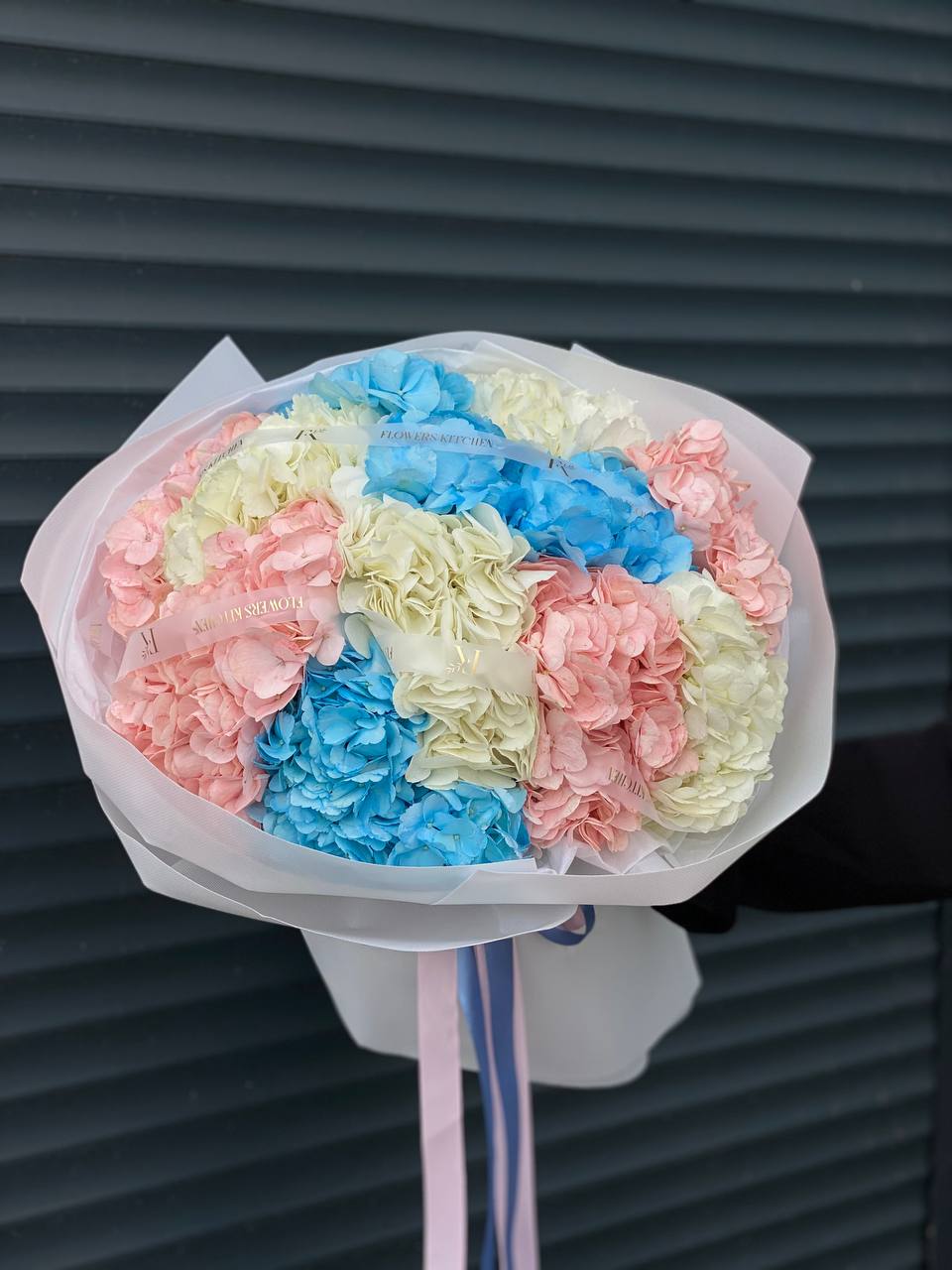 15 гортензій в упакуванні