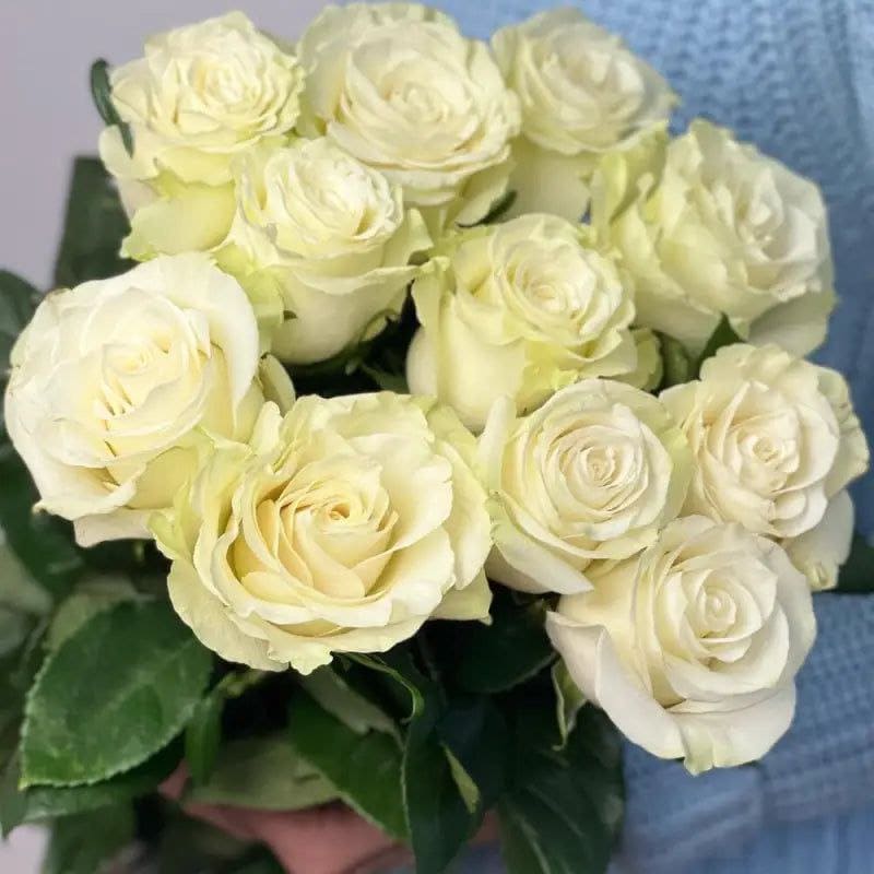 Мондіаль (Mondial)