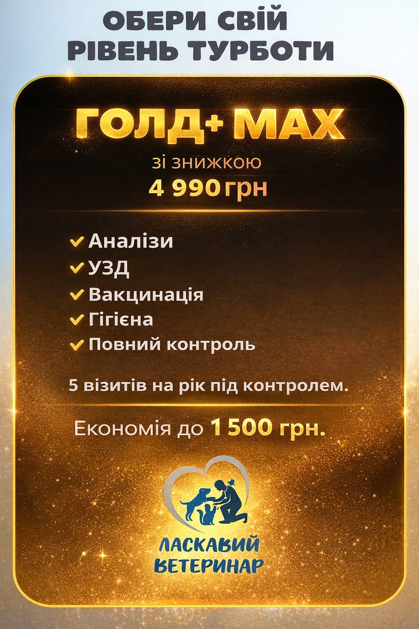 ПАКЕТ "ГОЛД+MAX"