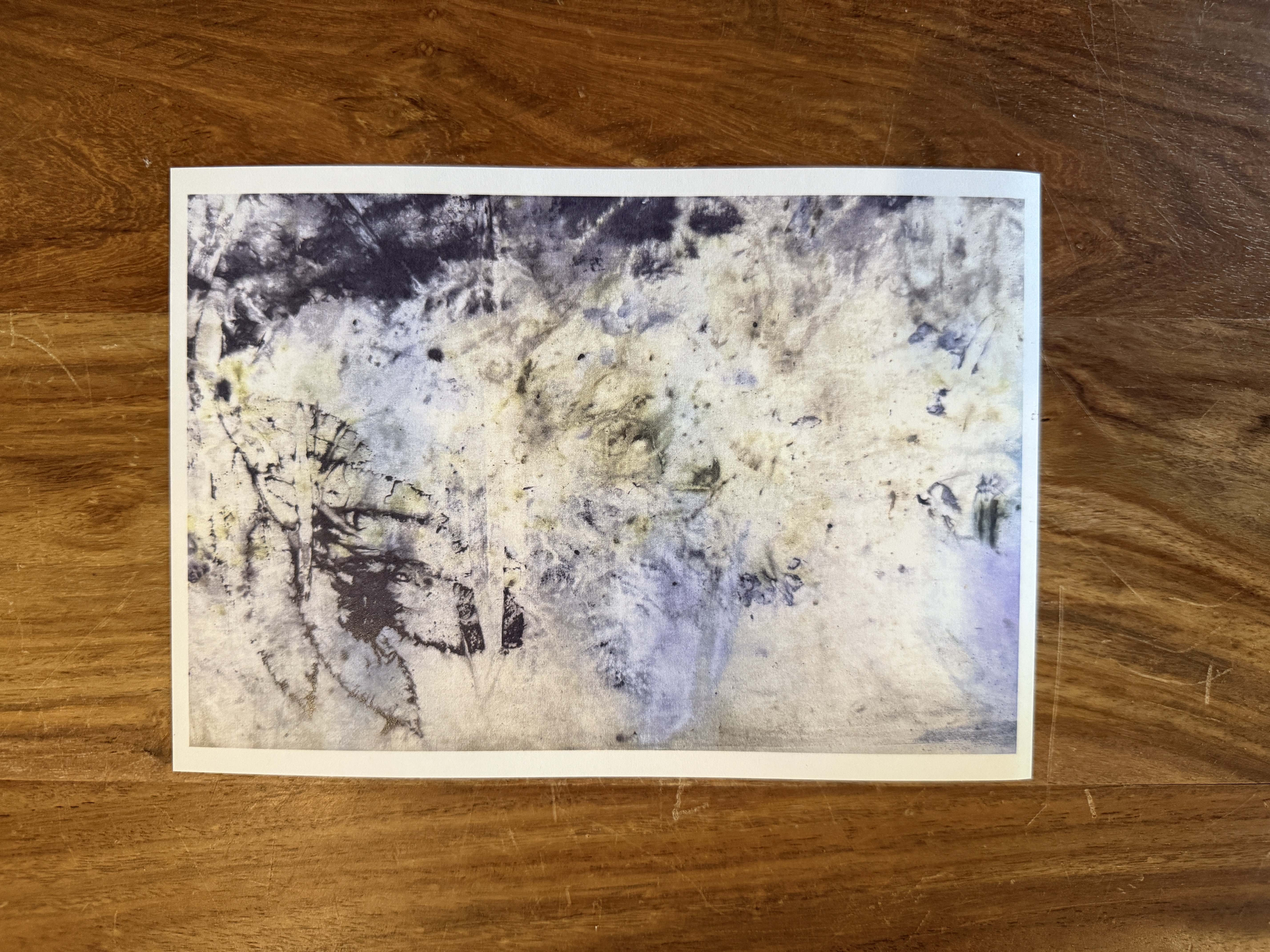 Tirage d'art A5 - Printemps vivifiant / Art print - Alive spring
