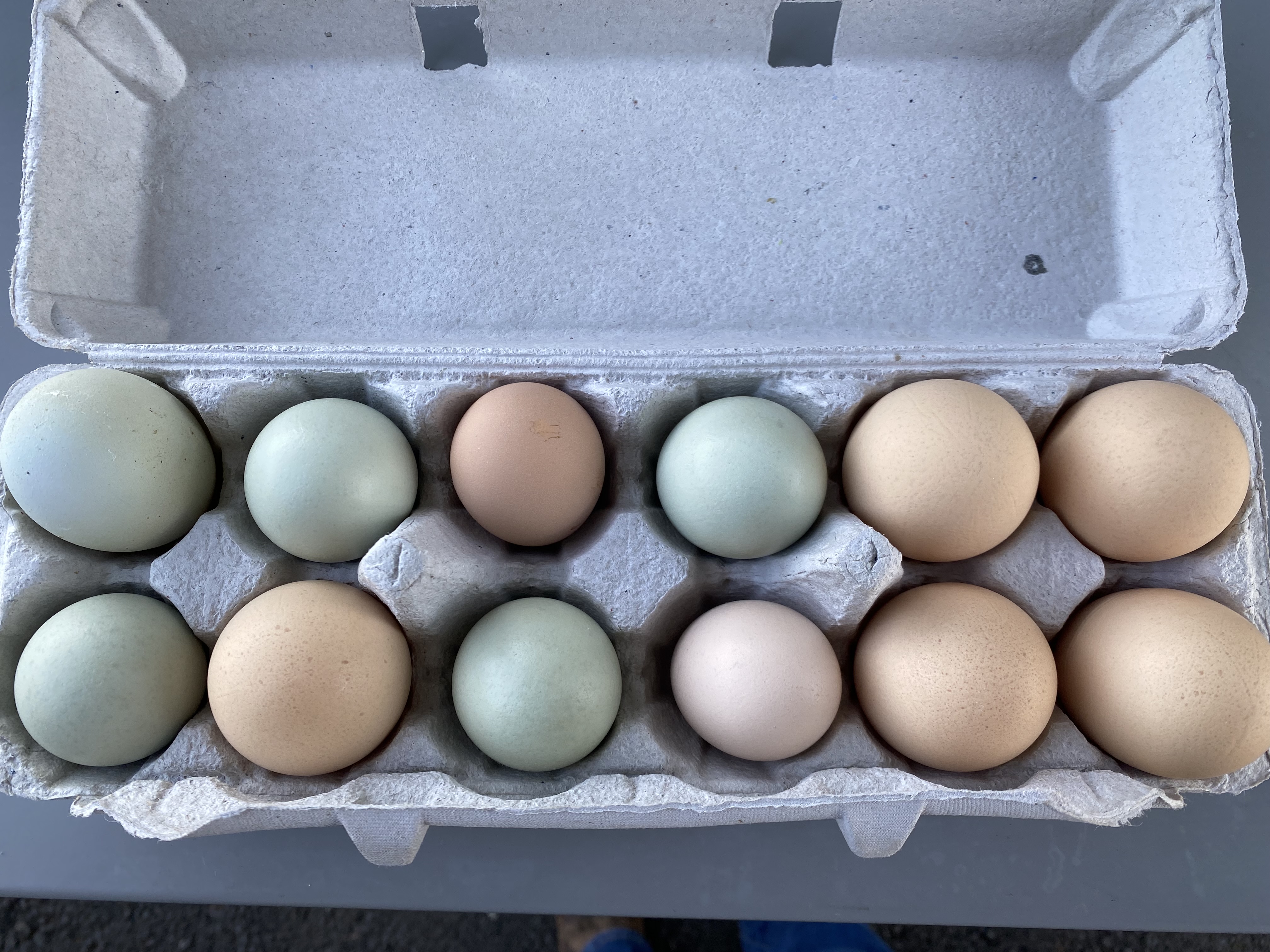 Farm Fresh Eggs