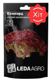 Конкорд, червоний Лолло Россо, 100 шт (ЛАН)