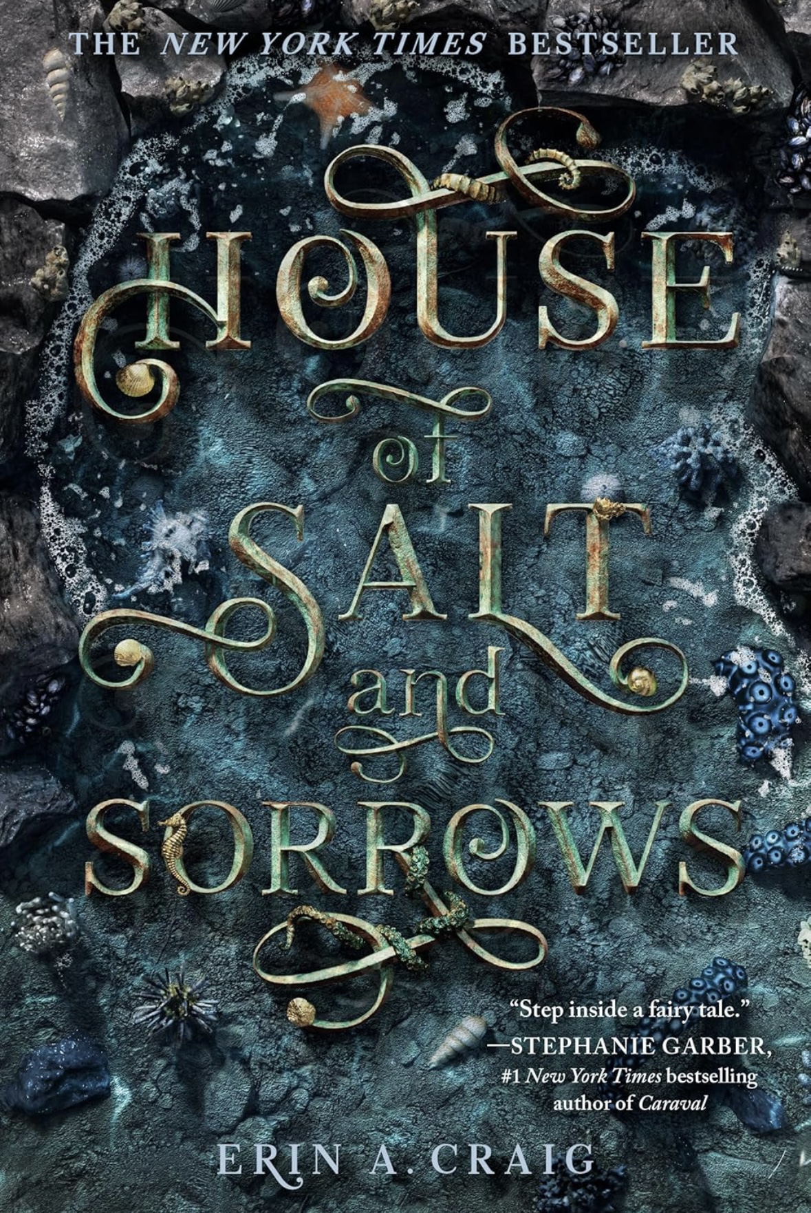 House of Salt and Sorrows (Sisters of the Salt) Erin A. Craig book 1