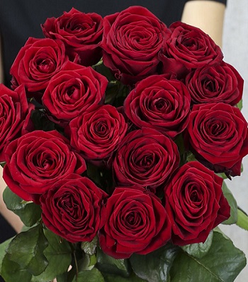 🌹 Троянда ч/г "Ред Наомі"