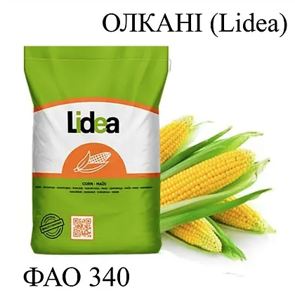 Насіння кукурудзи гібрид ЄС Олкані ФАО 340 Кукурудза високої врожайності