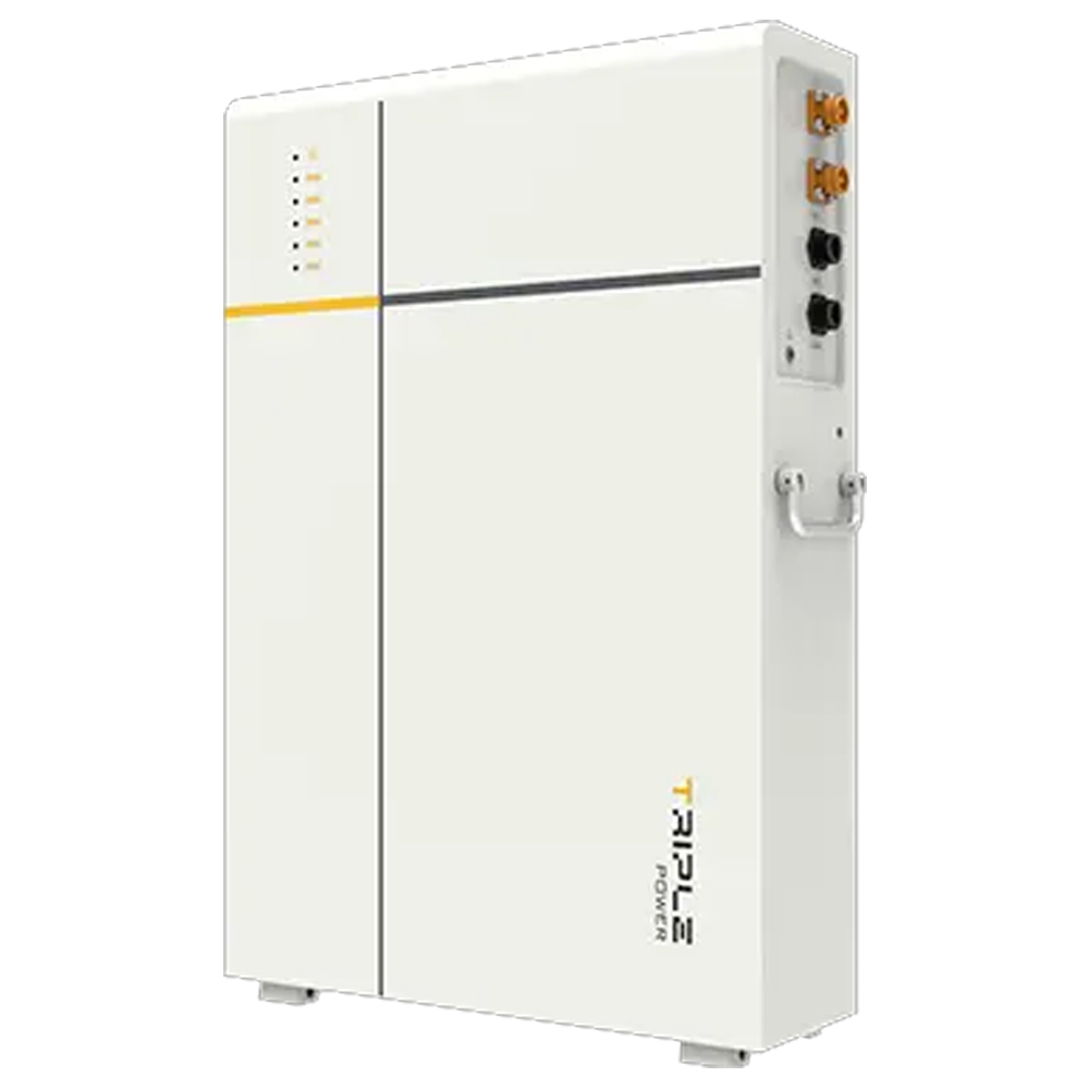 Акумуляторна батарея PROSOLAX T-BAT-LV D53
