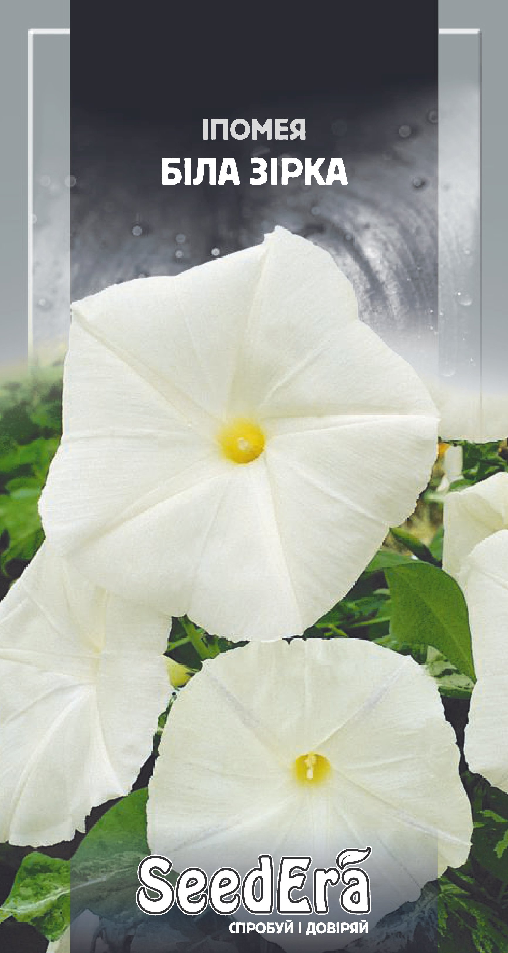 Насіння Квіти Іпомея Біла Зірка, 1 г