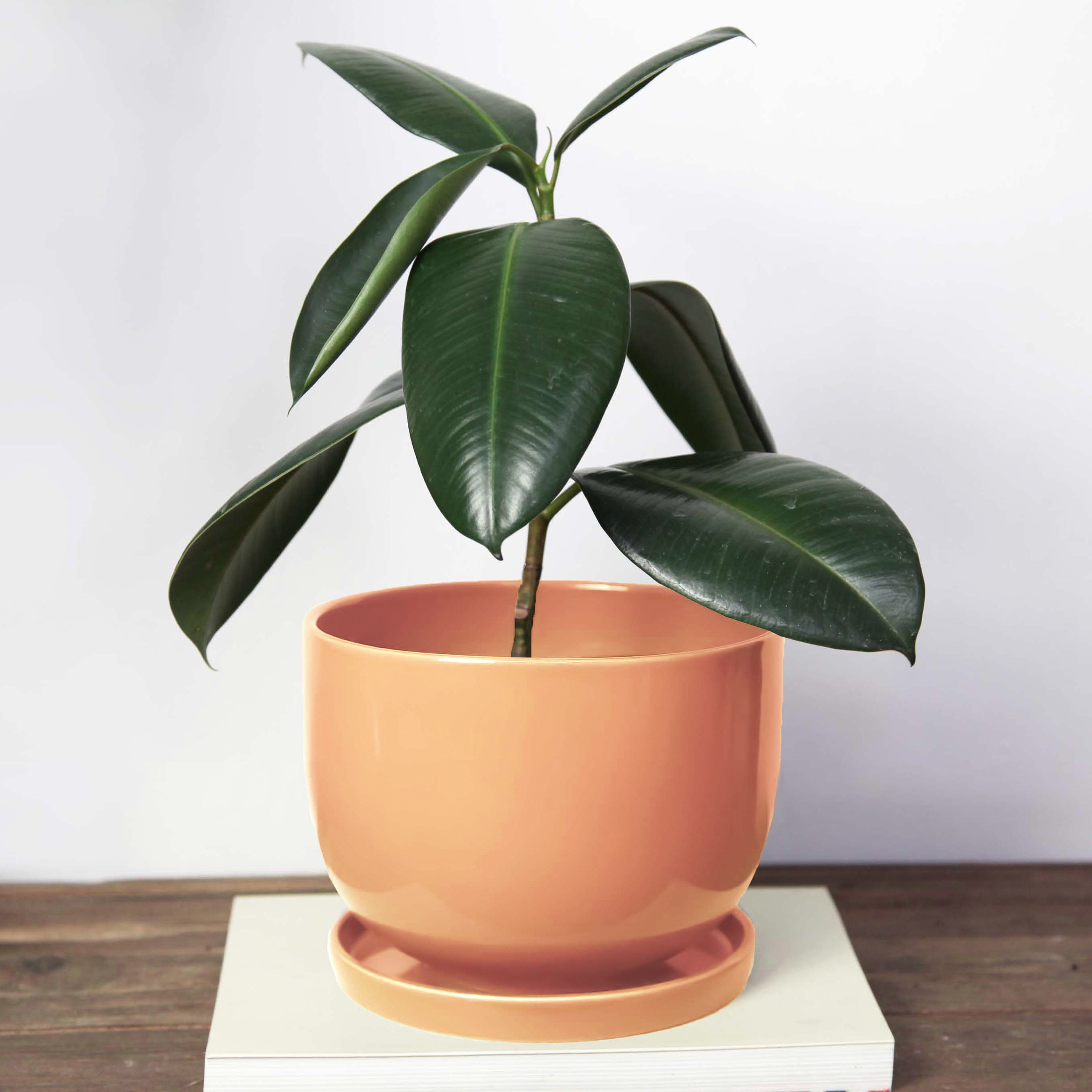 Горщик керамічний Конус опуклий 1,4 л Помаранчевий p233