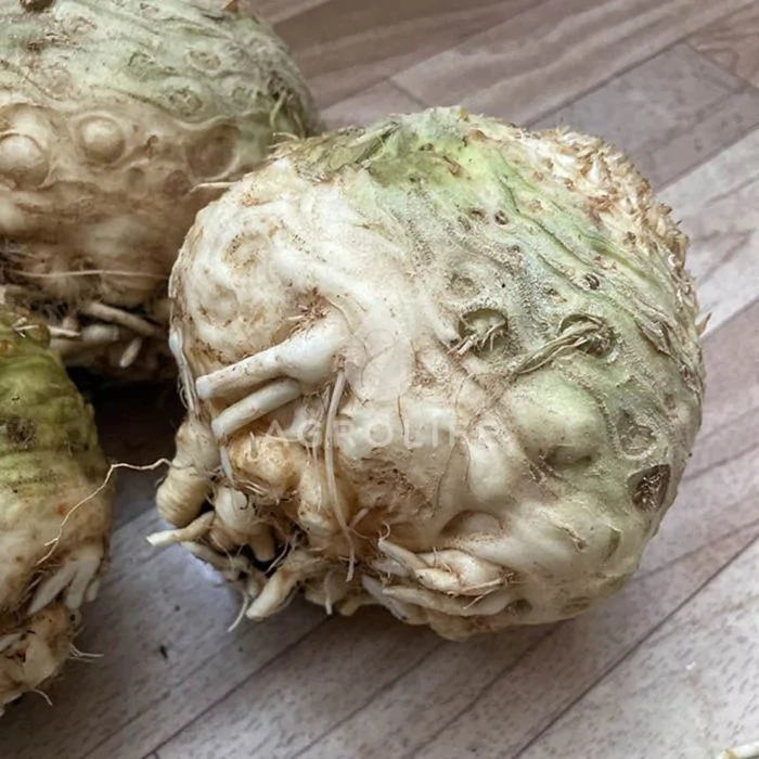 ВОЛЬТ F1 / VOLT F1  Сельдерей, Spark Seeds