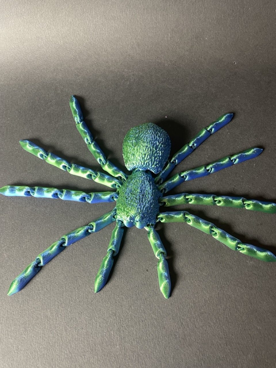 Павук рухомий