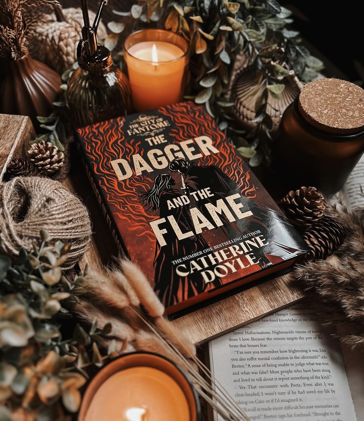 The Dagger and the Flame Catherine Doyle fairyloot