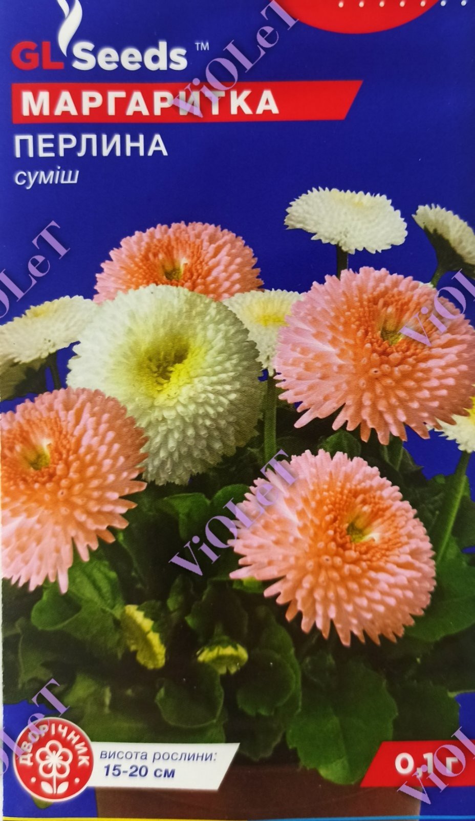 Маргаритка Перлина суміш, 0,1 г GL Seeds
