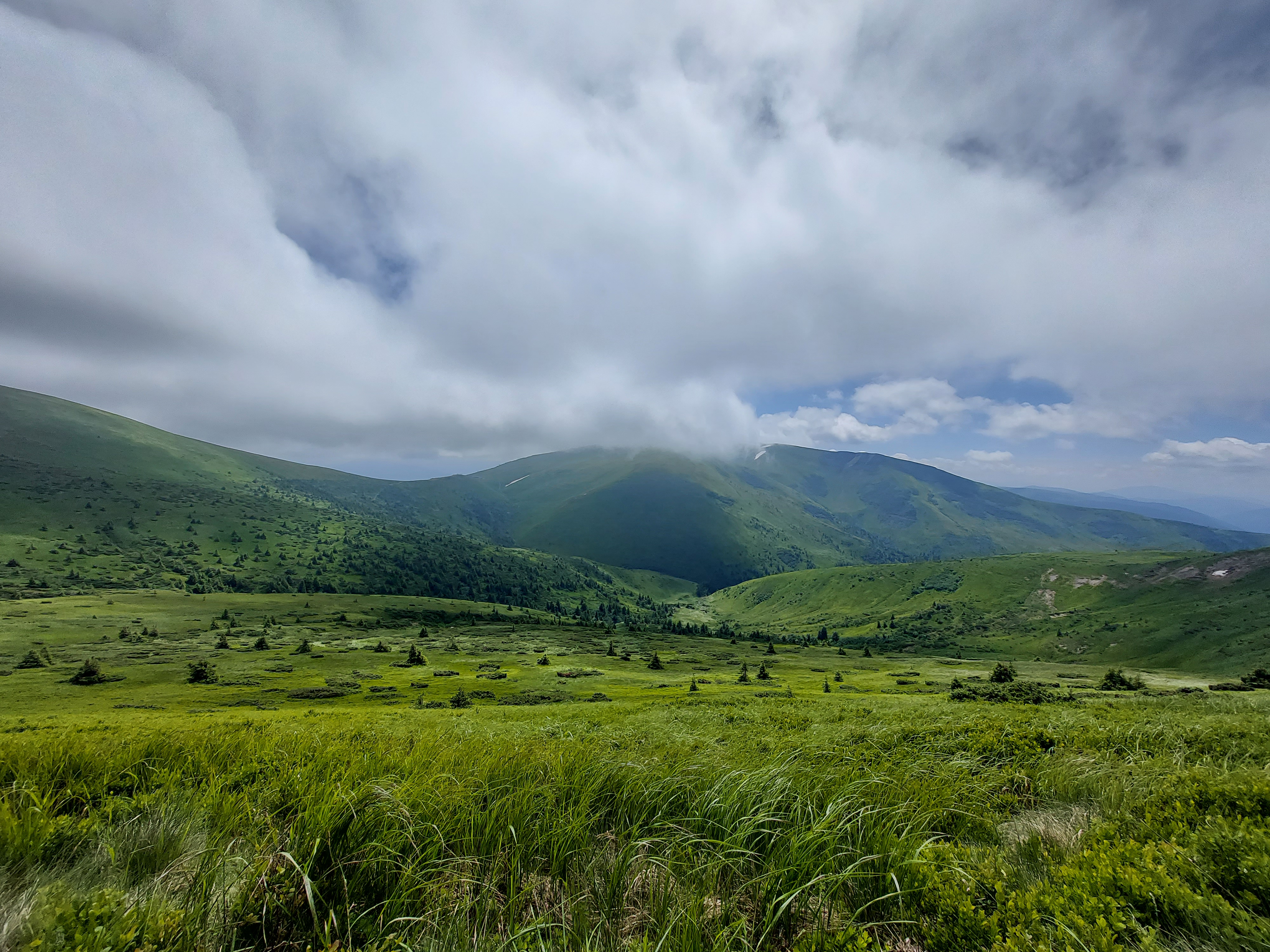 Літо на Драгобраті