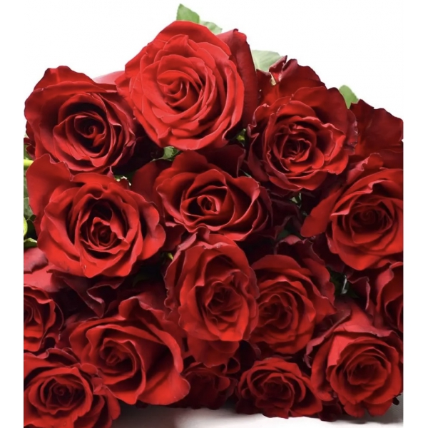 Уппер Класс (ч/г) — Upper class