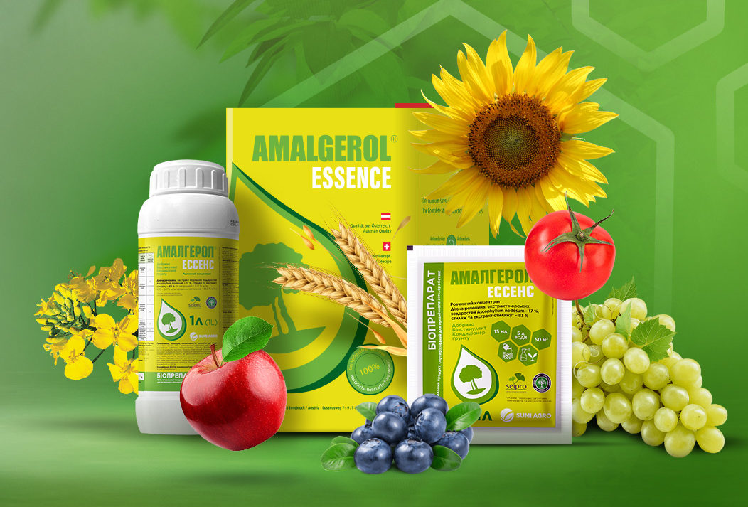 Амалгерол Ессенс 1л