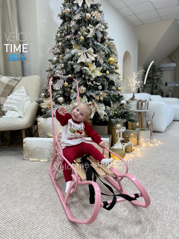 Санки експрес з ручкою та спинкою рожеві