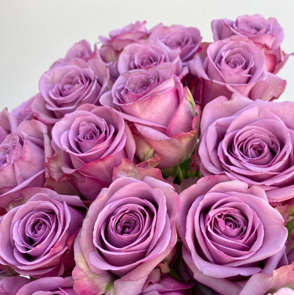 Кул Вотер (Cool Water)